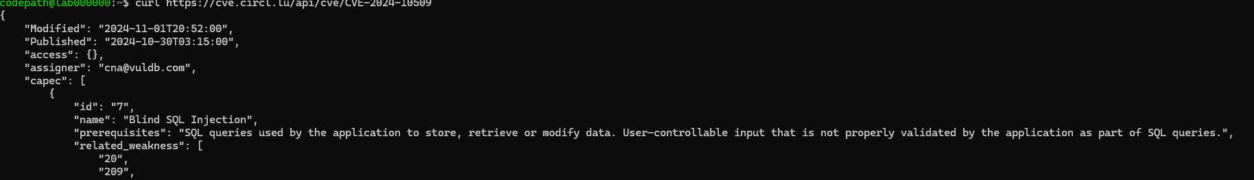 CVE Blind SQL Injection