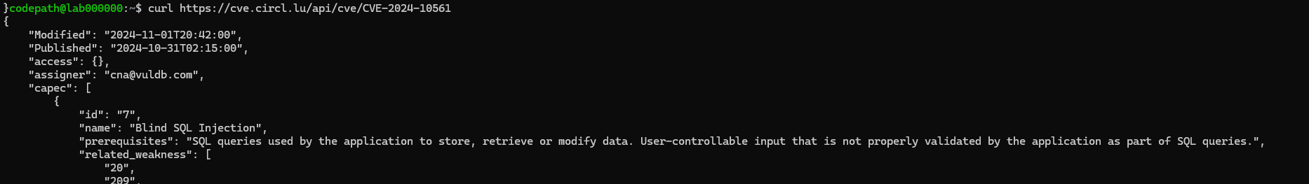 Additional SQL Injection