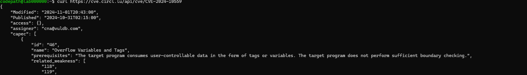 CVE Overflow Variables and Tags